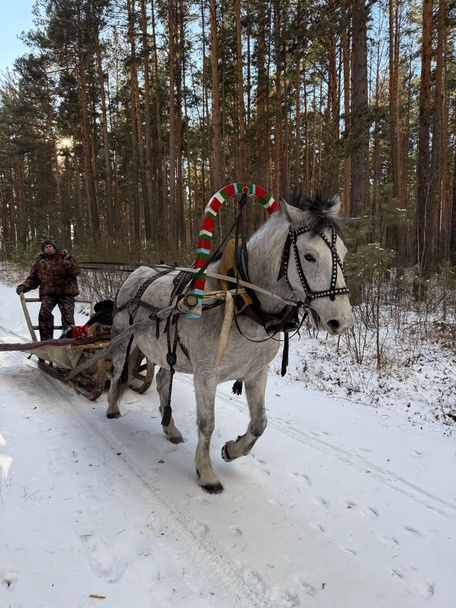 Развлечения на базе в зимний период