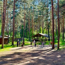 image-1-3
