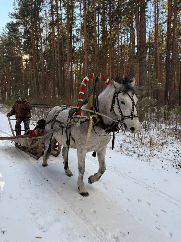 Развлечения на базе в зимний период