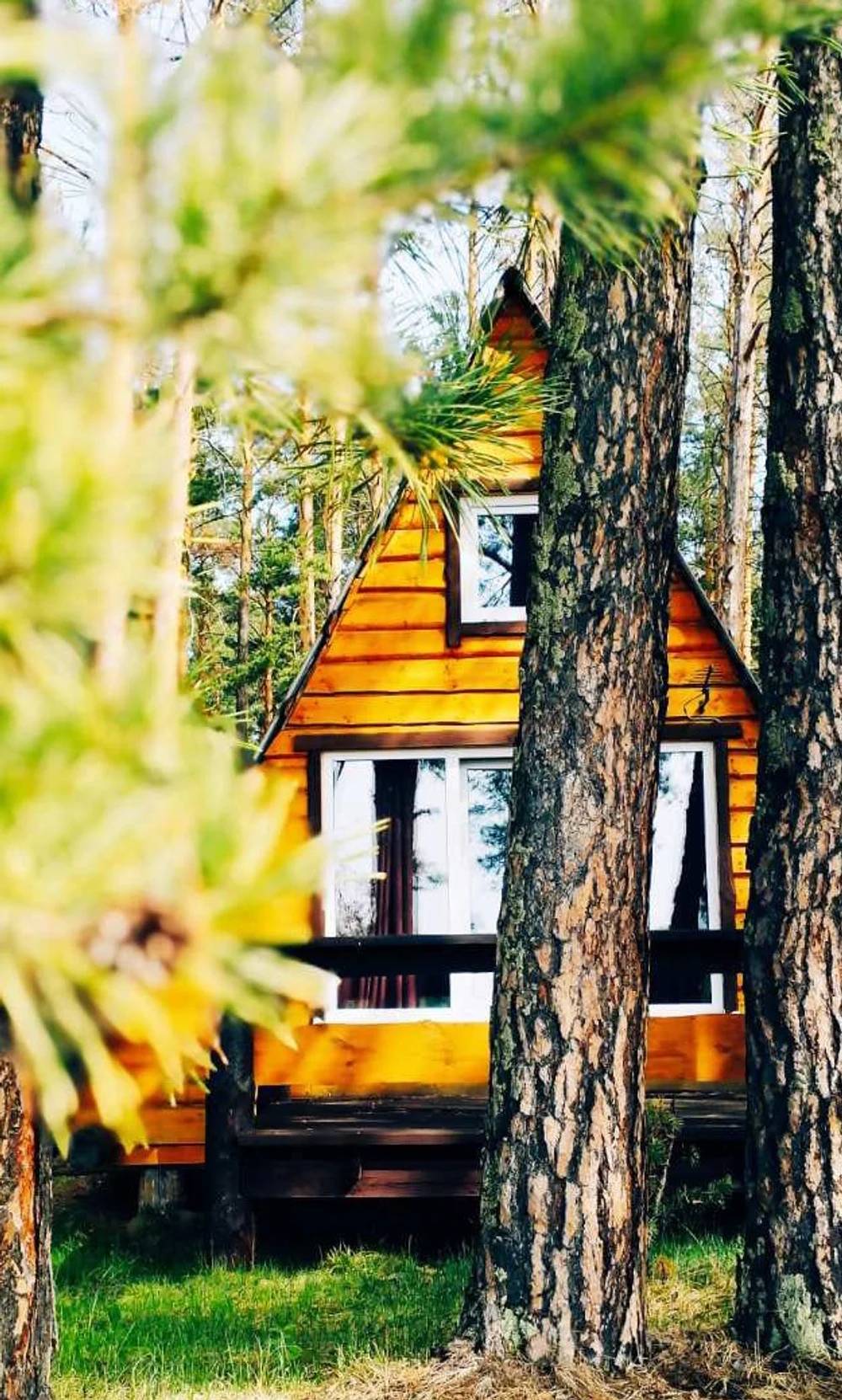 Варианты размещения