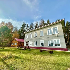 Большой дом