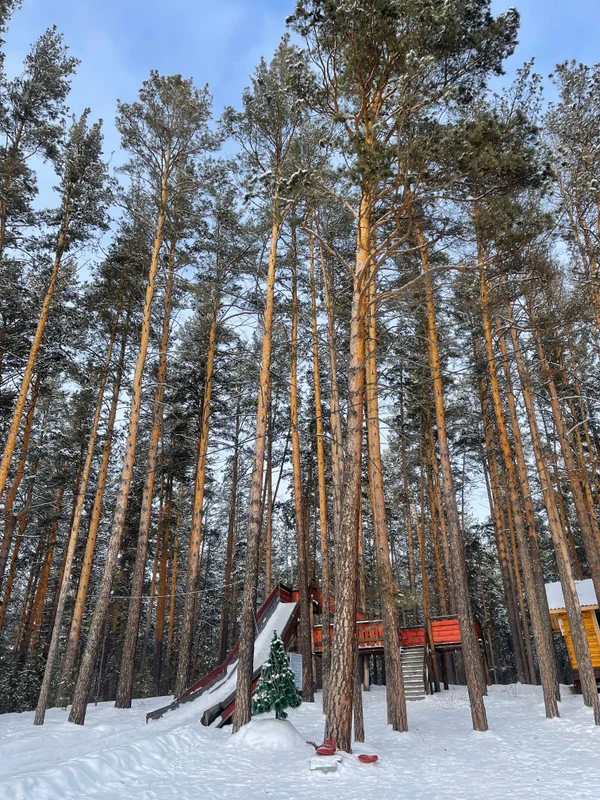 image-4